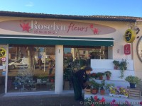 sign-ext-roselyn-fleurs_3