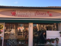 sign-ext-roselyn-fleurs_2
