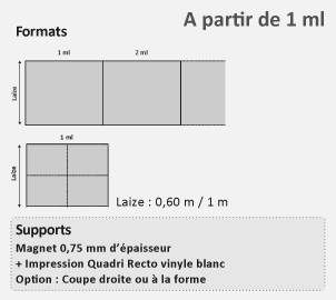 magnétique formats et supports