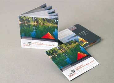 brochure